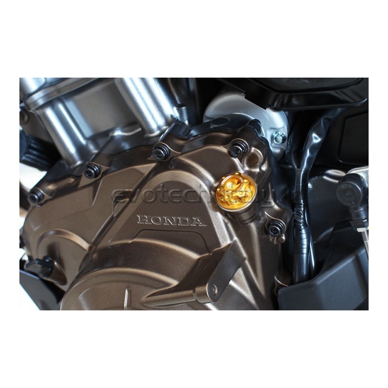 Tappo olio motore M20x2.5 BENELLI
