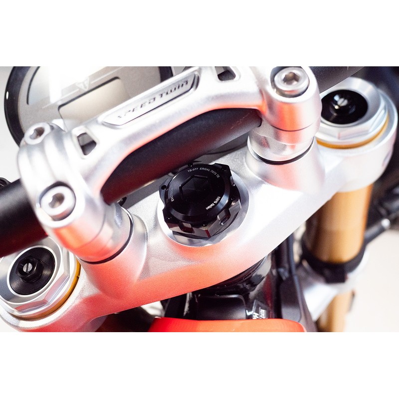 Dado cieco per canotto di sterzo Ergal M25X1 Triumph