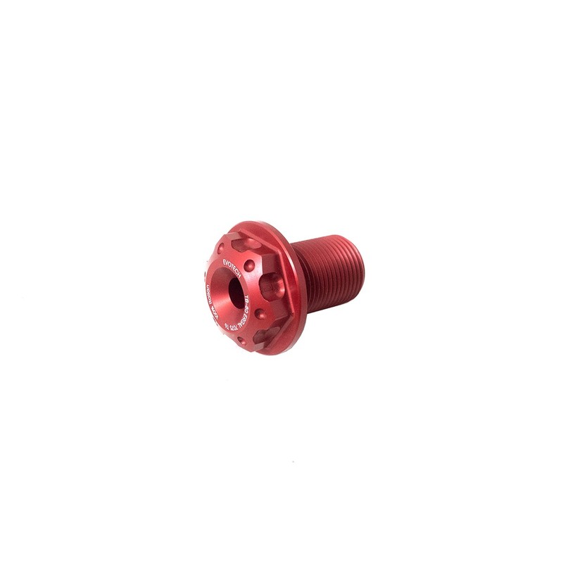 BULLONE PERNO FORCELLONE BMW F900 R