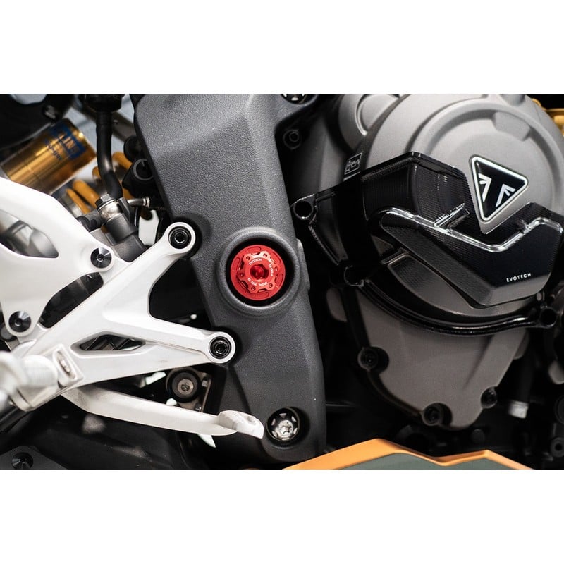 Bullone e ghiera perno forcellone Triumph Speed Triple 1200