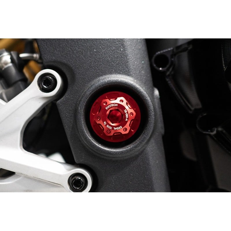 Bullone e ghiera perno forcellone Triumph Speed Triple 1200