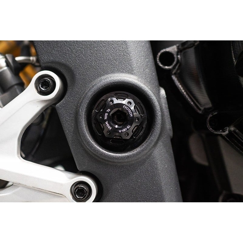 Bullone e ghiera perno forcellone Triumph Speed Triple 1200