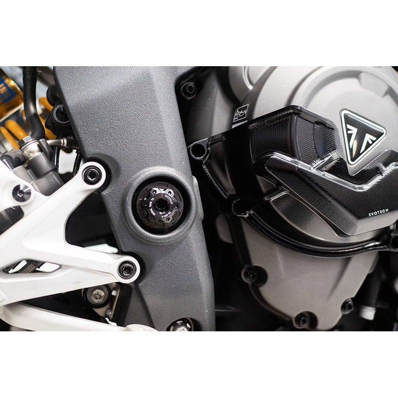 Bullone e ghiera perno forcellone Triumph Speed Triple 1200