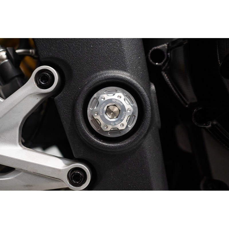 Bullone e ghiera perno forcellone Triumph Speed Triple 1200