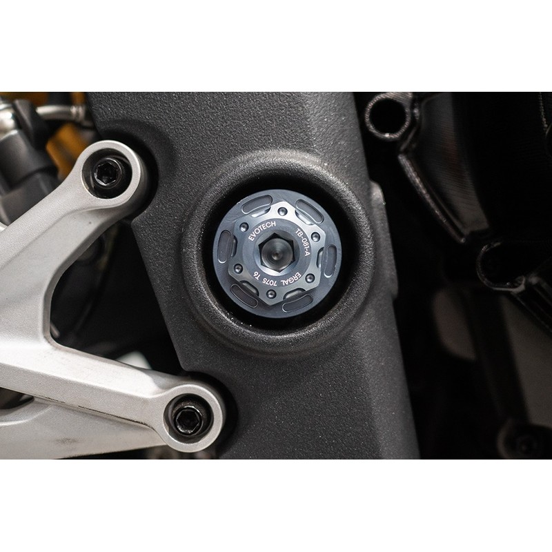 Bullone e ghiera perno forcellone Triumph Speed Triple 1200