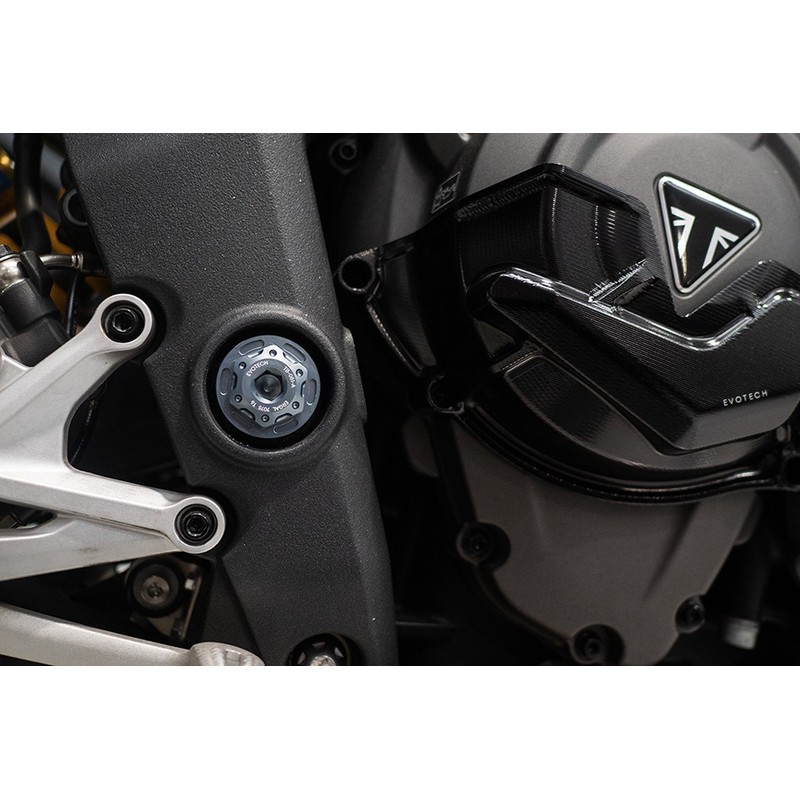 Bullone e ghiera perno forcellone Triumph Speed Triple 1200