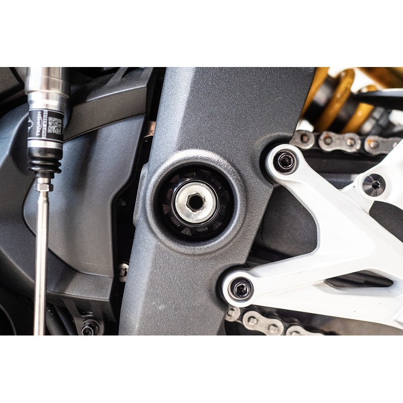 Bullone e ghiera perno forcellone Triumph Speed Triple 1200