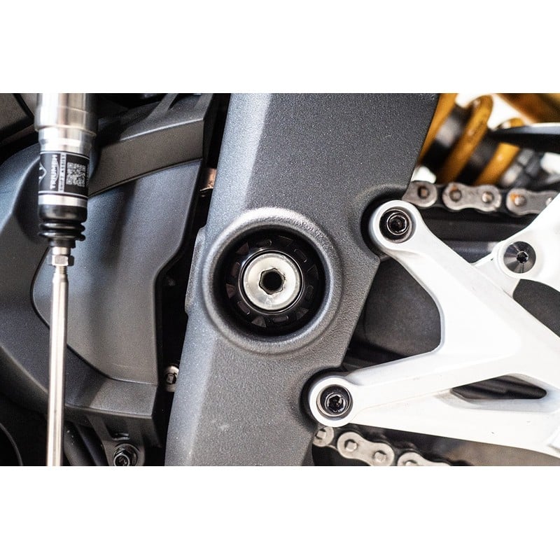 Bullone e ghiera perno forcellone Triumph Speed Triple 1200