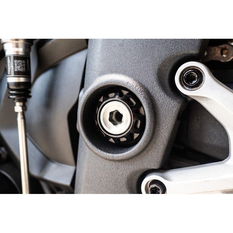 Bullone e ghiera perno forcellone Triumph Speed Triple 1200