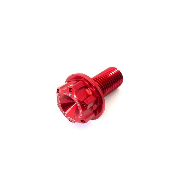 Bullone perno forcellone Ducati V2 M12x1,50
