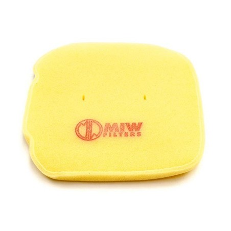 267574 AIR FILTER Bmw G SMR 2009+ MEIWA