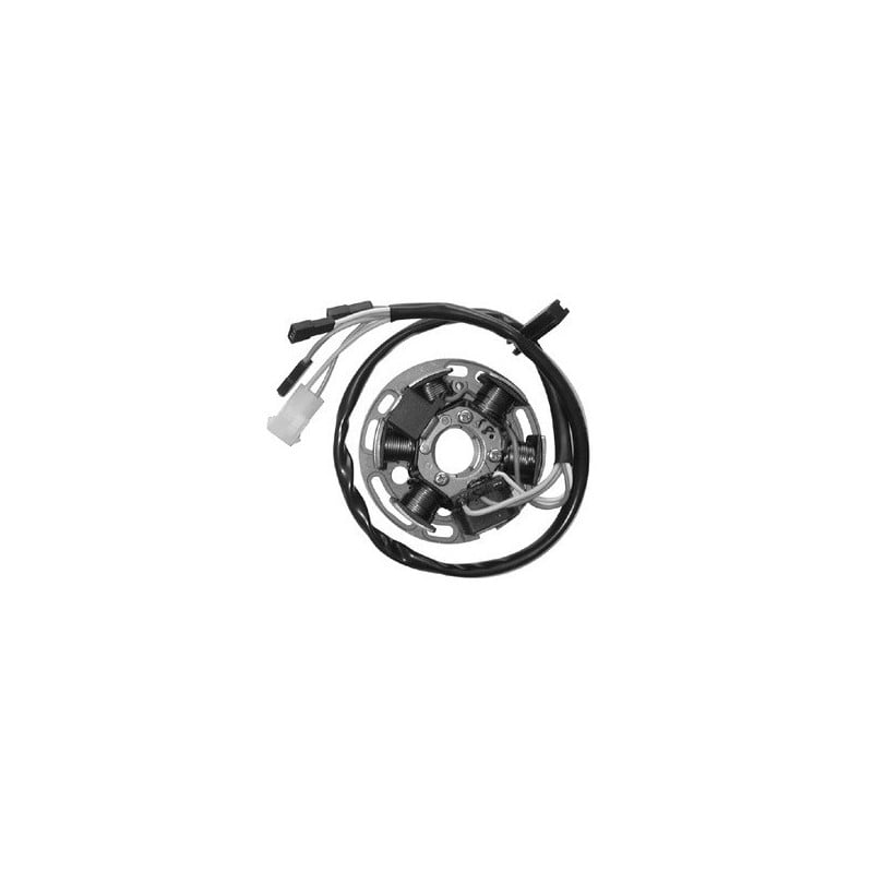 168013 KOMPLETNY STATOR Derbi Senda SM DRD E1R 2003+ SGR - ELETTRICO