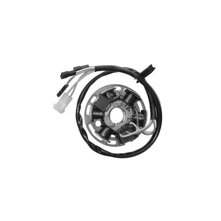 168013 KOMPLETNY STATOR Derbi Senda SM DRD E1R 2003+ SGR - ELETTRICO