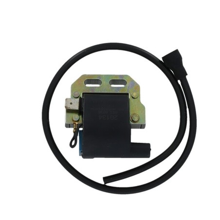 0020134 CONTROL UNIT Ducati Regolarit 2T 1975+ SGR - ELETTRICO