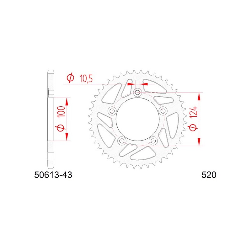 50613:43 Ducati Panigale 959 Panigale V2 2016+ AFAM