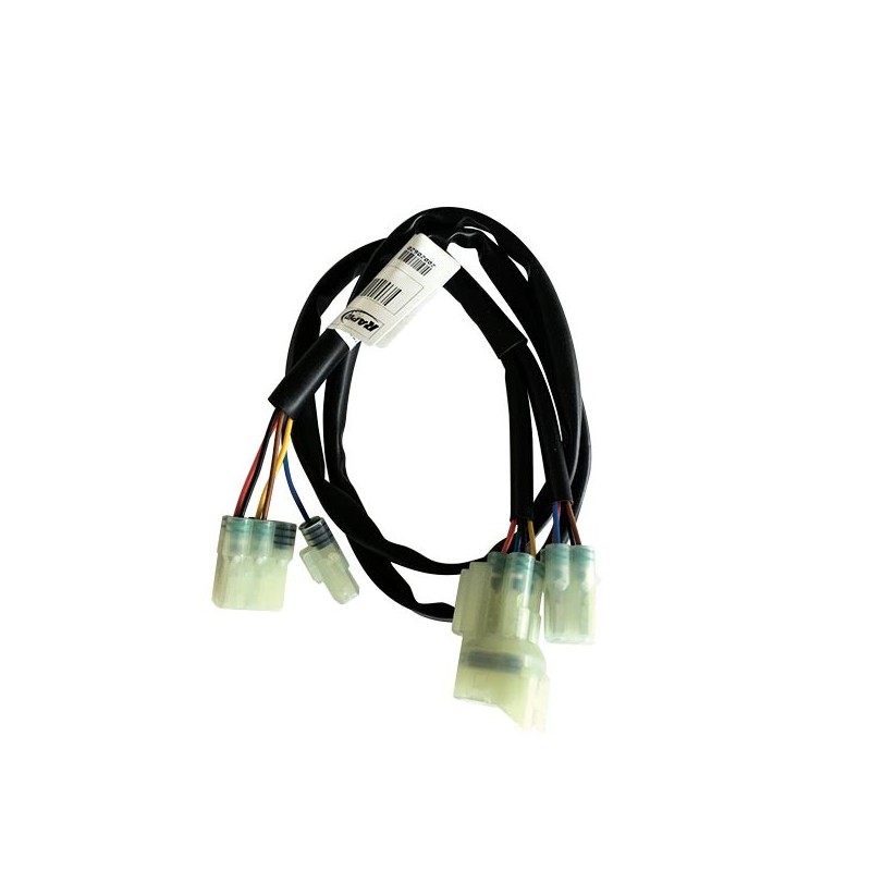 F27-EA-025 KIT EASY ECU - VERKABELUNG Ducati Panigale V4 ABS 2018+ RAPIDBIKE