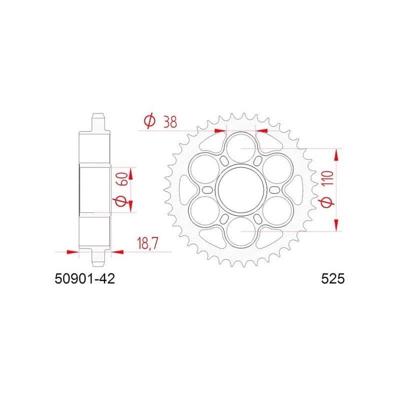 50901:42 Ducati Streetfighter V4 2020+ AFAM