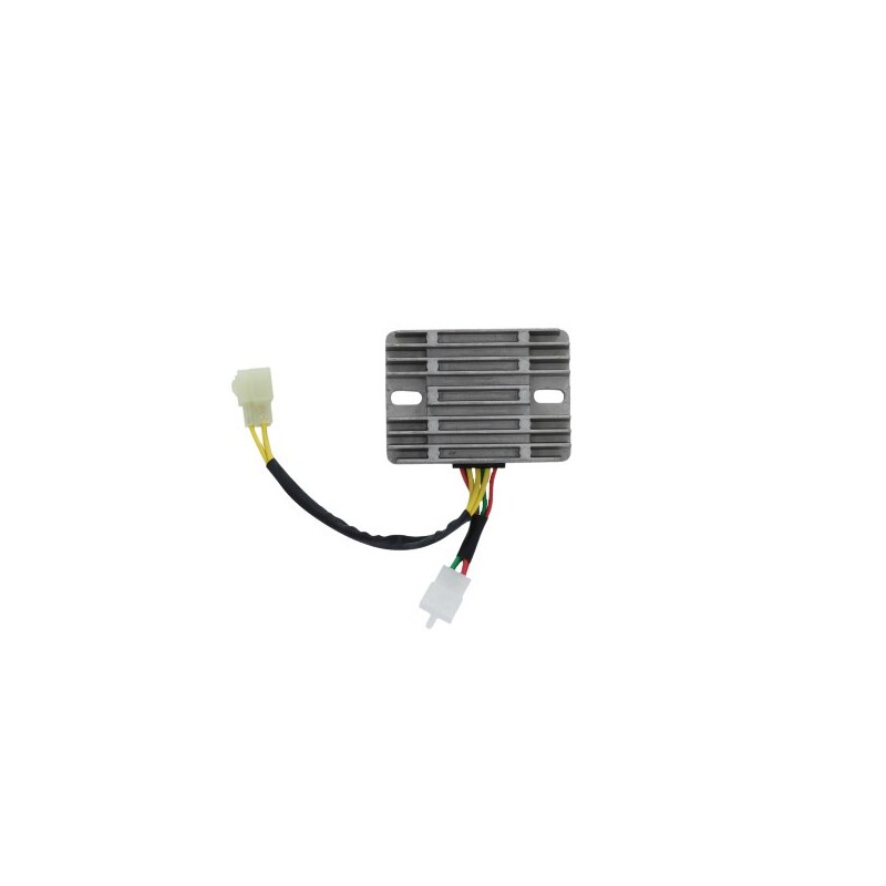 REG 2509 REGLER Ducati 1198 S 2009+ DZE