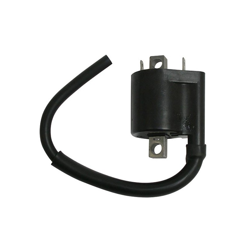 174330 EXTERN AN DER SPULE Fantic Motor Caballero Regolarit LC 4T 2013+ SGR - ELETTRICO