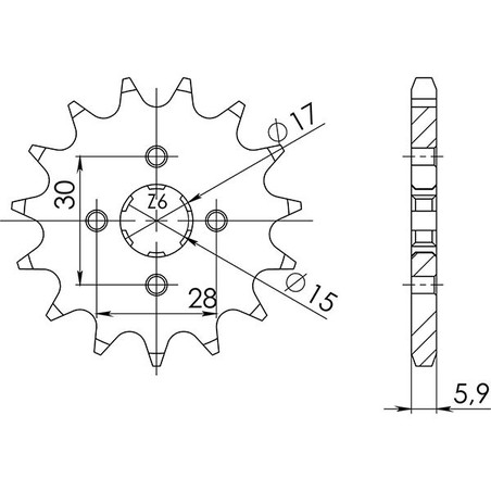 542010113 PIGNONE S AC P420-D13 Honda C E 1984+ SGR - SPROCKETS
