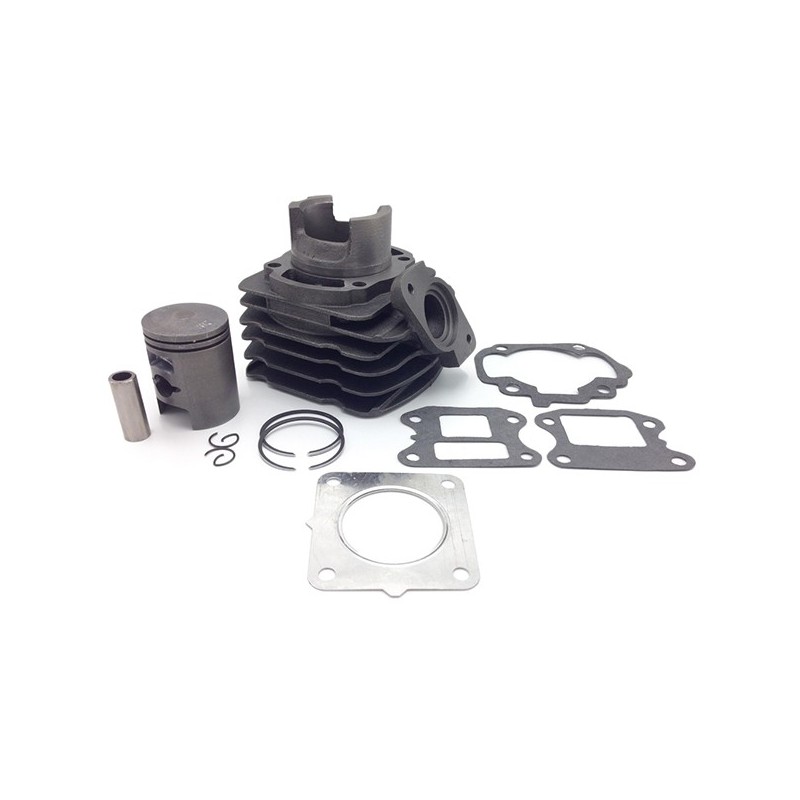 95011012 CYLINDER WITH PISTON Honda SH Scoopy Fifty 1996+ HERT