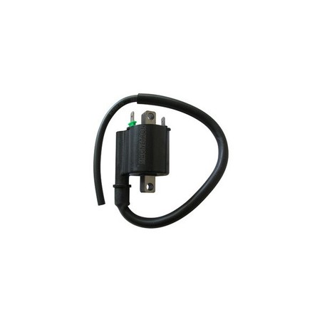 174320 EXTERNAL AT COIL Honda NSS Forza A ABS 2008+ SGR - ELETTRICO
