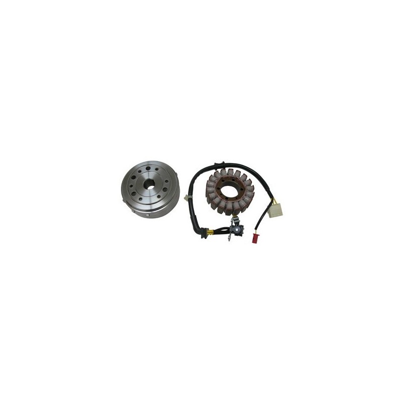 1635981 COMPLETE FLYWHEEL Honda SH 2007+ DENSO