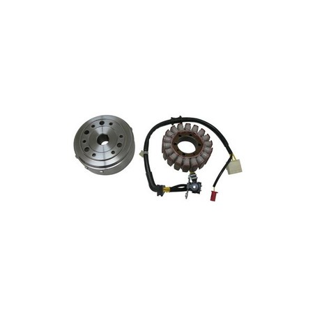 1635981 VOLANTE COMPLETO Honda SH 2007+ DENSO