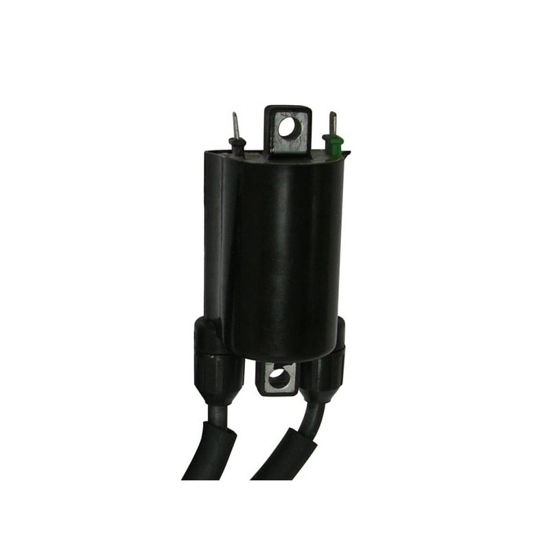 0057107 EXTERNE À LA BOBINE Honda CB F Hornet S 2000+ SGR - ELETTRICO