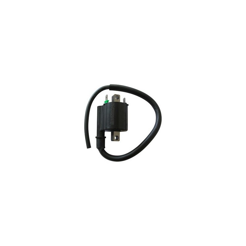 3MTB100031 EXTERN AN DER SPULE Honda NC ABS DCT 2012+ SGR - ELETTRICO