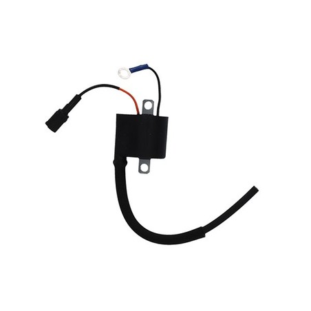F006T56372 EXTERNAL AT COIL Kawasaki KXE F 2006+ SGR - ELETTRICO