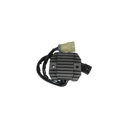 175420 REGLER Kawasaki ZZ R 2005+ SGR - ELETTRICO