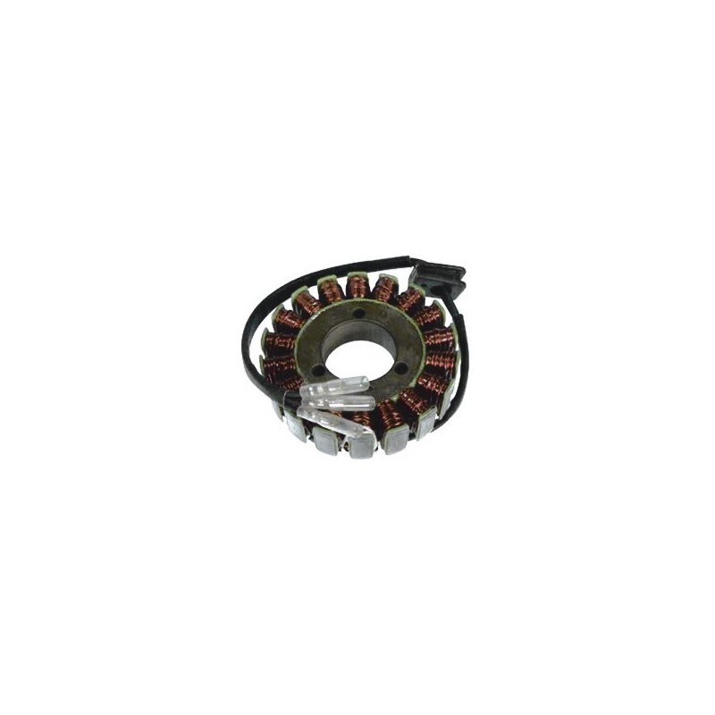 163043 STATORE Kawasaki ZN LTD Shaft 1984+ SGR - ELETTRICO
