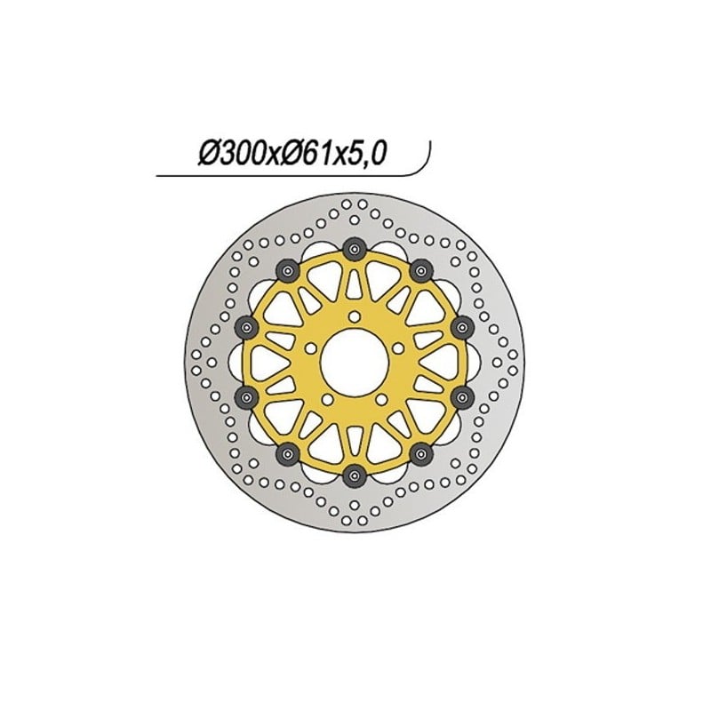 750 VORDERE BREMSSCHEIBE DX-SX Kawasaki ZX12R Ninja A B 2004+ NG