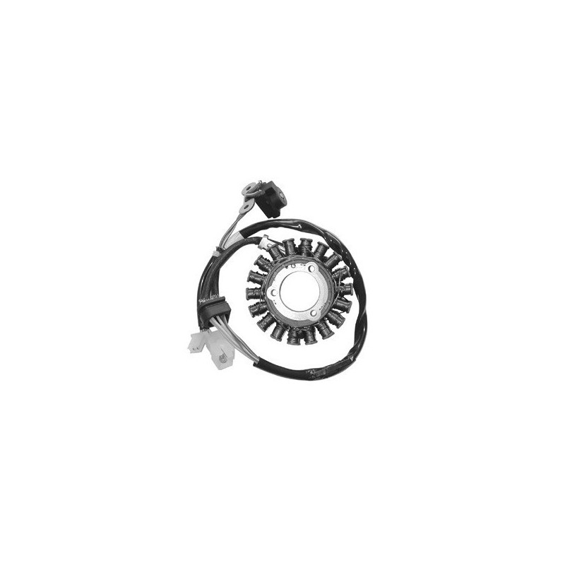 163058 KOMPLETTER STATOR Kymco BET Win 2000+ SGR - ELETTRICO