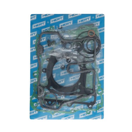 70666A304FL ENGINE GASKET SET Kymco Xciting 2005+ HERT