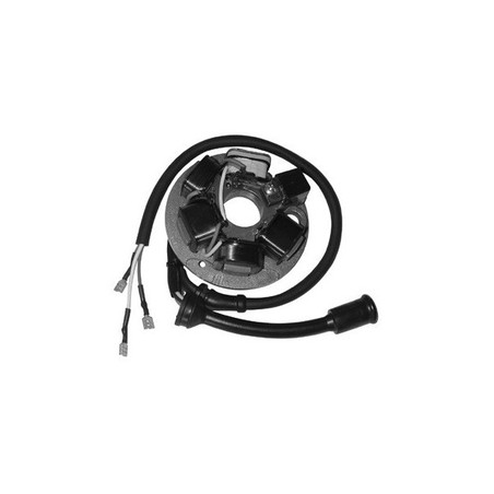 431936304 KOMPLETTER STATOR Piaggio Vespa PK S 1982+ DUCATI