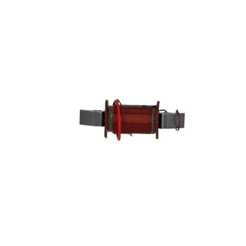 001319 INTERIOR LIGHTING COIL Piaggio Vespa Special 1970+ SGR - ELETTRICO