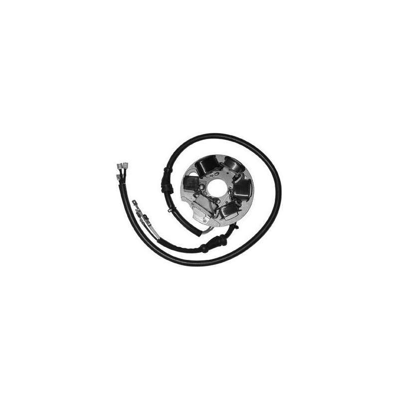 631731068 STATOR Piaggio Vespa ET3 1976+ DUCATI