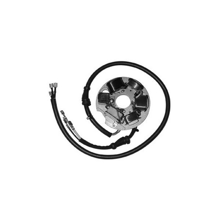 631731068 ESTATOR Piaggio Vespa ET3 1976+ DUCATI