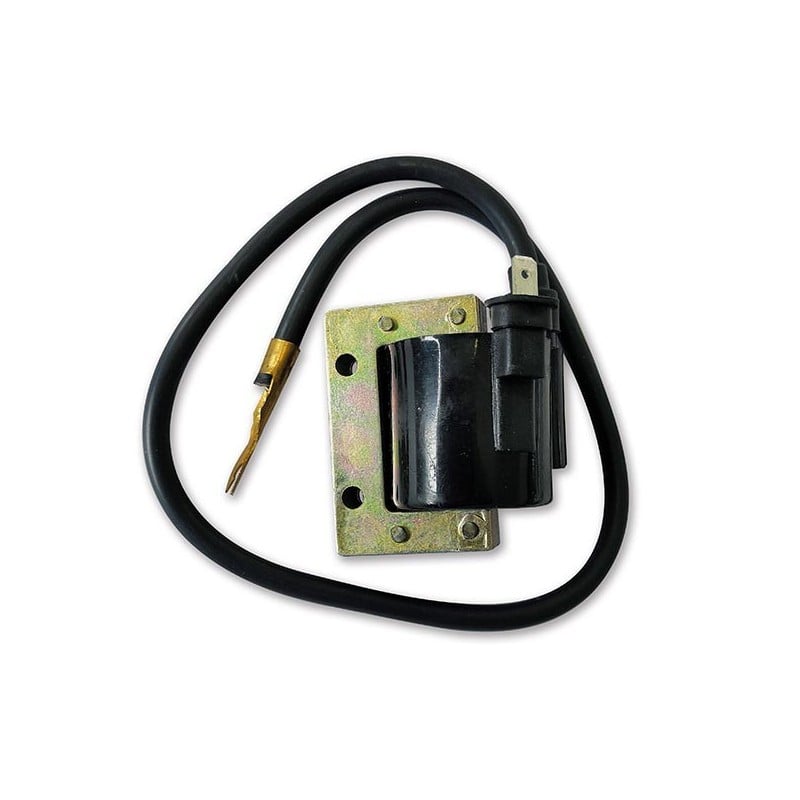 0013997 EXTERNAL AT COIL Piaggio Vespa Sprint 1965+ SGR - ELETTRICO