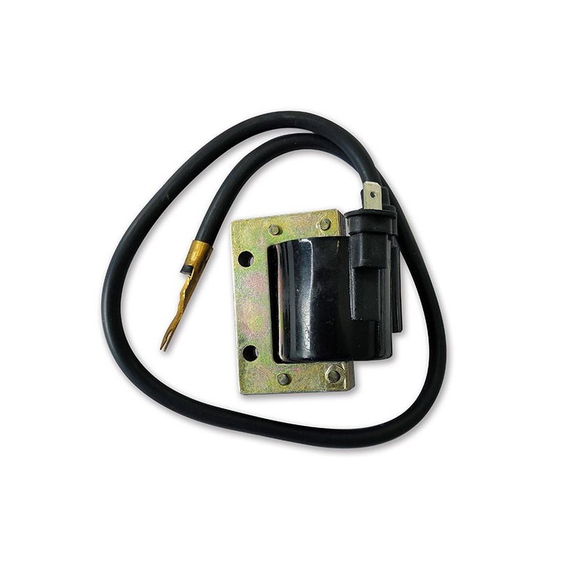 0013997 EXTERNO EN BOBINA Piaggio Vespa Sprint 1965+ SGR - ELETTRICO