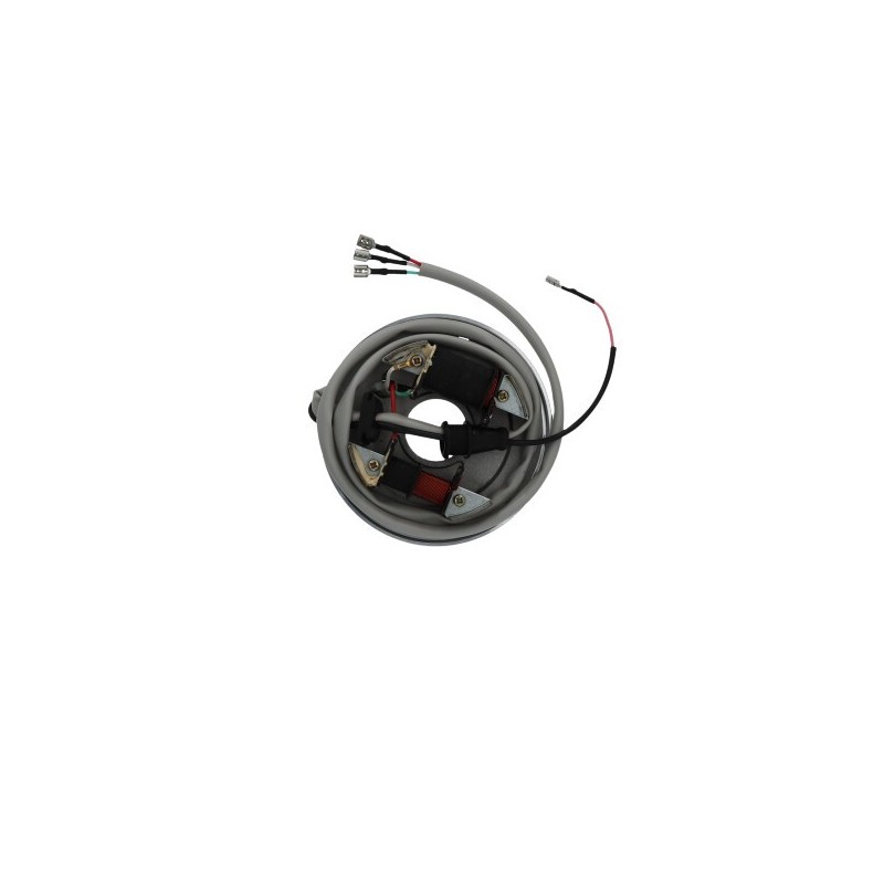 0AFCCAC353 STATOR Piaggio APE TM 2009+ SGR - ELETTRICO