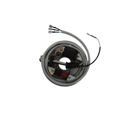 0AFCCAC353 STATOR Piaggio APE TM 2009+ SGR - ELETTRICO