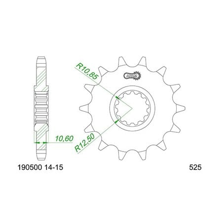 21606:14 PIGNONE AFAM AC P525-D14 Qjmotor SRK RC 2023+ AFAM