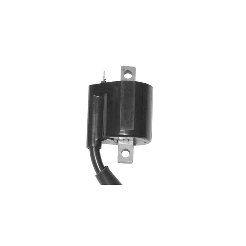0076107 EXTERNO EN BOBINA Rex Tribal 4T 2007+ SGR - ELETTRICO