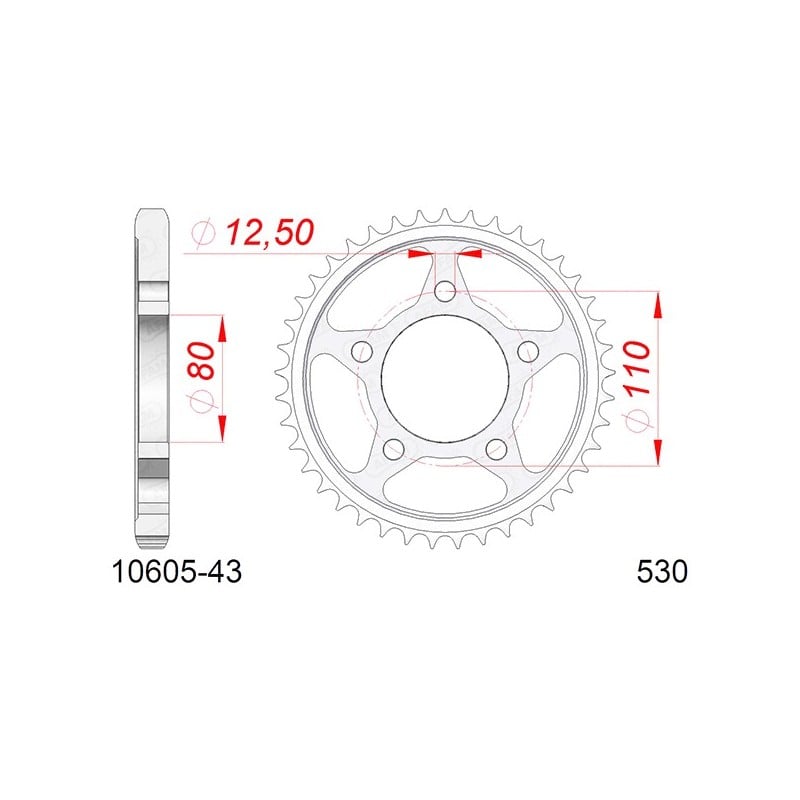 10605:43 Triumph Daytona MK 1 1993+ AFAM