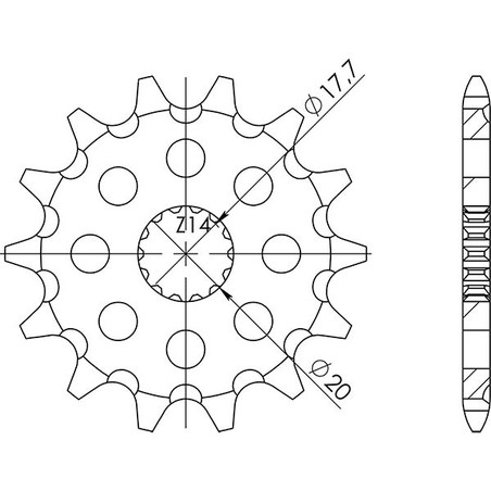 542120313 PIGNONE S AC P520-D13 Yamaha DT R 1987+ SGR - SPROCKETS