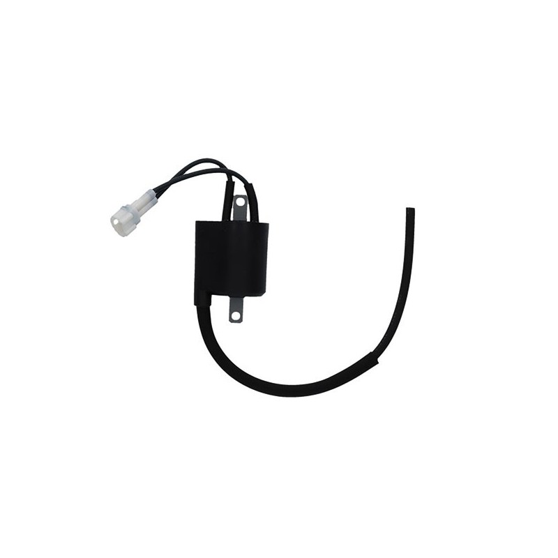 F006T55285 EXTERNE À LA BOBINE Yamaha WR F 2012+ SGR - ELETTRICO