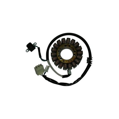 163071 KOMPLETTER STATOR Yamaha XP T Max 2004+ SGR - ELETTRICO